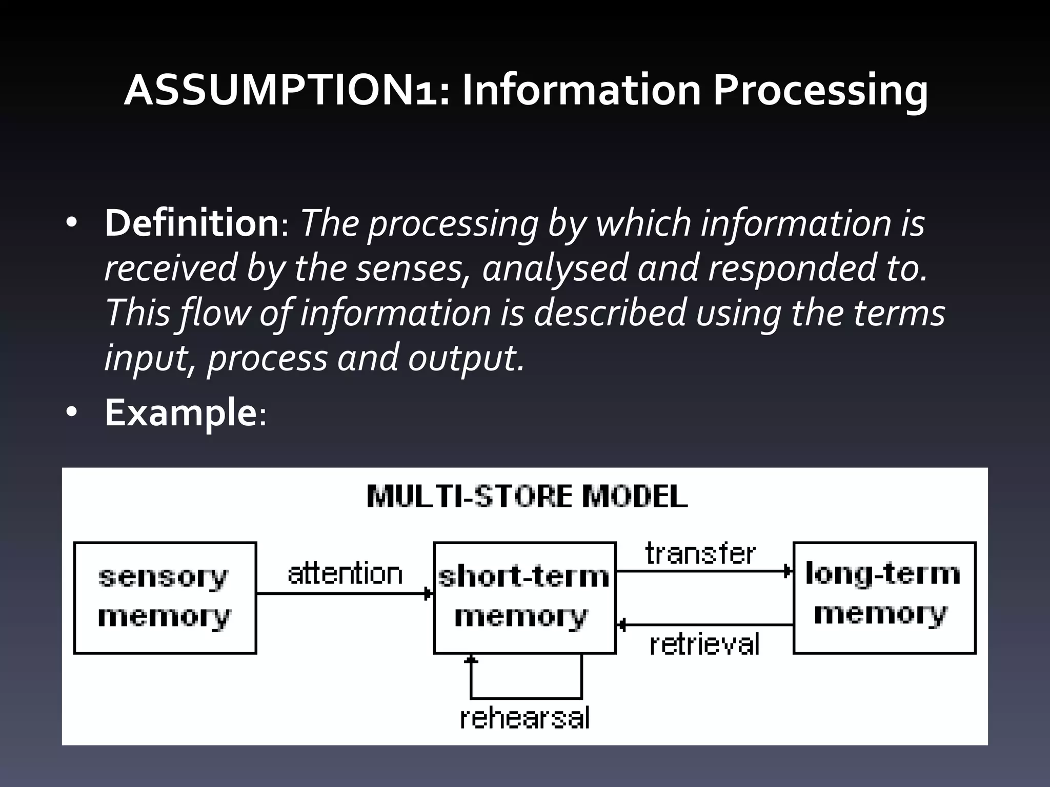 ASSUMPTION1: Information Processing Definition :  The processing by which information is received by the senses, analysed and responded to. This flow of information is described using the terms input, process and output.  Example : 
