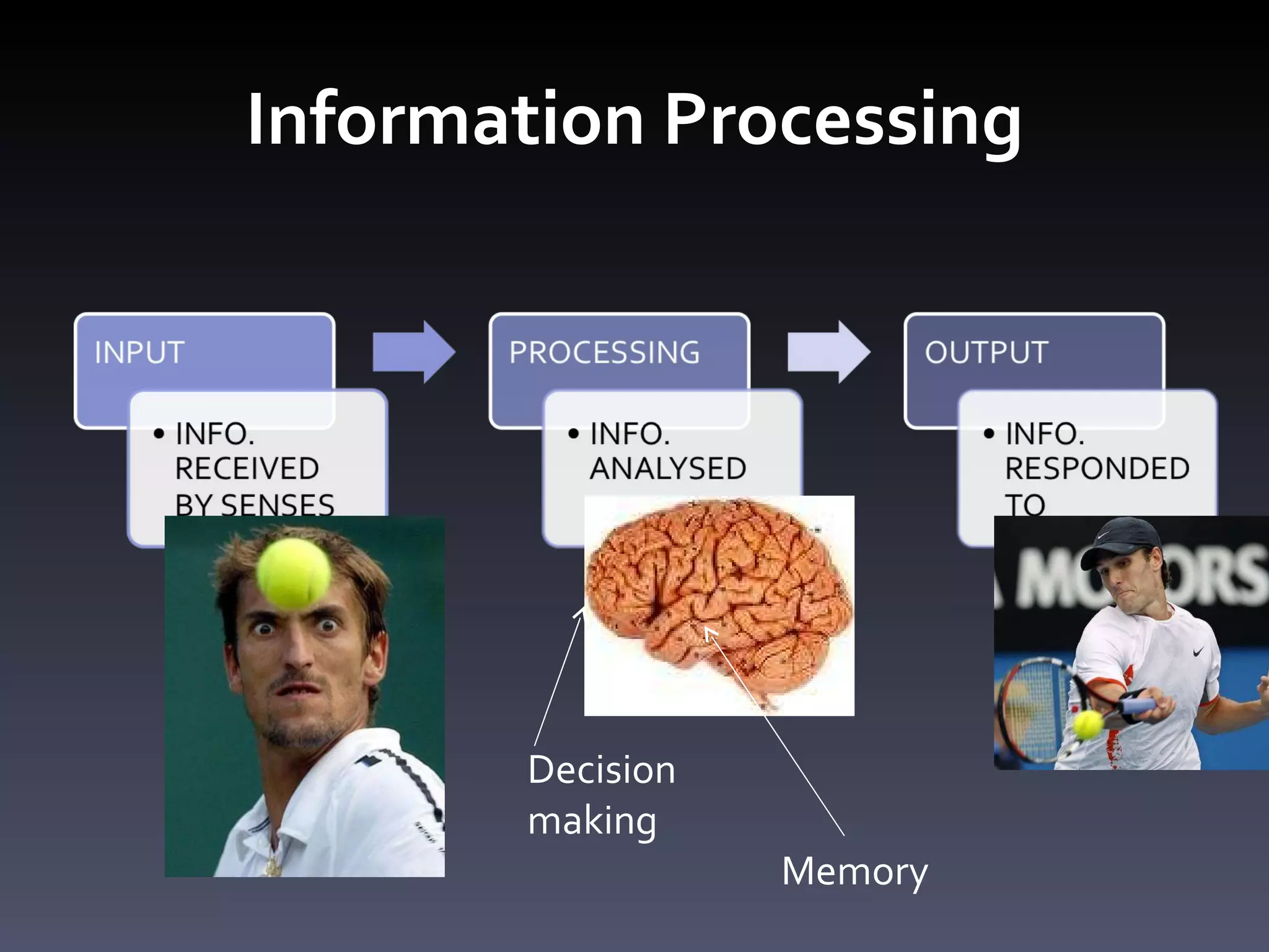 Information Processing Decision  making Memory 