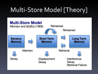 Multi-Store Model [Theory] 