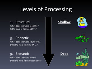 Levels of Processing Structural    Shallow   What does the word look like? Is the word in capital letters? Phonetic  What does the word sound like? Does the word rhyme with …? Semantic    Deep What does the word mean? Does the word fit in this sentence? 