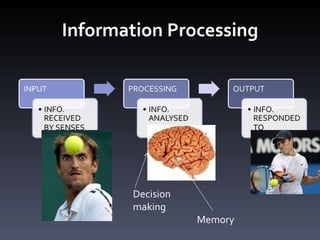Information Processing Decision  making Memory 