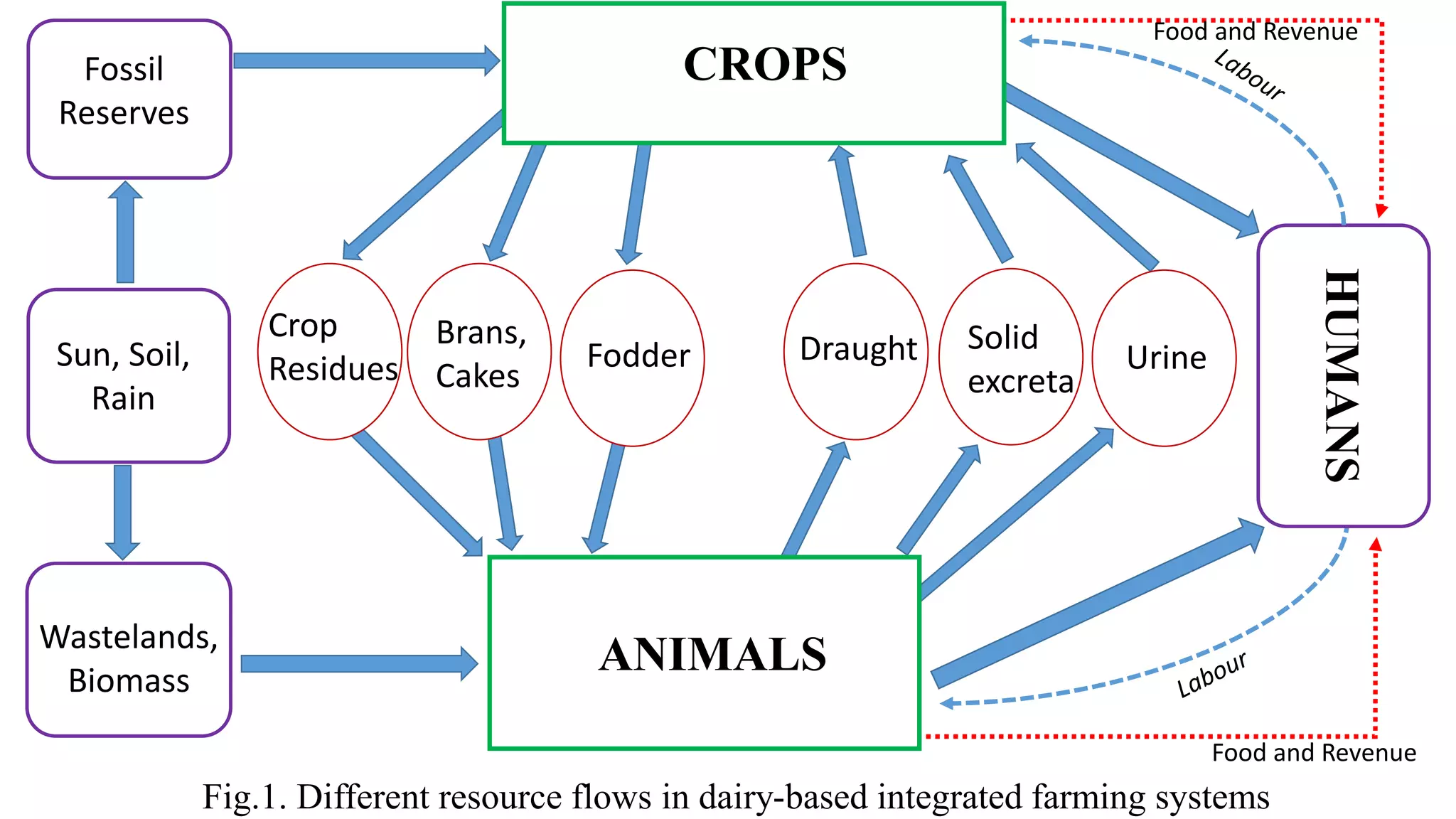 Unit 1 Role of livestock in national economy.pptx