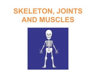 SKELETON, JOINTS
AND MUSCLES
 