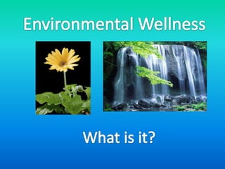 Environmental Wellness What is it? 