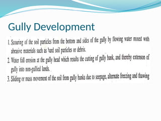 Gully Development
 