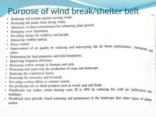 Purpose of wind break/shelter belt
 