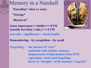 Memory in a Nutshell (1)
“Encoding” what we sense
“Storage”
“Retrieval”
Sense impression>>>buffer>>>STM
(usually less than 1 min.) >>>LTM
new/old----significance----brain health

Remembering – by recognition – by recall

Forgetting – the absence of “cues”
             confusion with another memory
             displacement of information from STM
             repression / motivated forgetting
             decay or “atrophy” of the memory “engram”
 