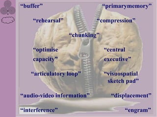 “buffer”                       “primarymemory”

    “rehearsal”             “compression”

                  “chunking”

    “optimise                  “central
    capacity”                  executive”

   “articulatory loop”         “visuospatial
                                sketch pad”

“audio-video information”        “displacement”

“interference”                        “engram”
 