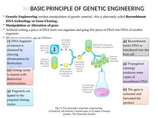 Comprehensive Overview of Protein Engineering and Industrial Microbial ...