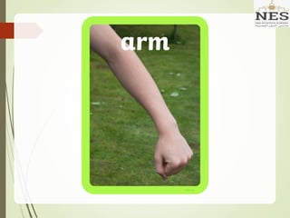 We are Healthy and We Grow (Grade 1) | PDF