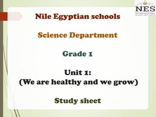 Nile Egyptian schools
Science Department
Grade 1
Unit 1:
(We are healthy and we grow)
Study sheet
 