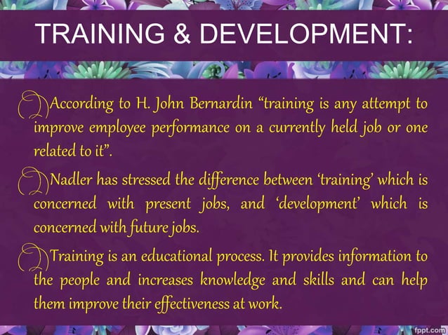 TRAINING VS DEVELOPMENT IN HRM visual data 7