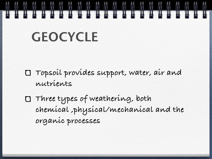 apes unit 1 test