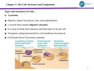 Unit 1_The_Cell,_Harmonized_Final11 (1).pptx
