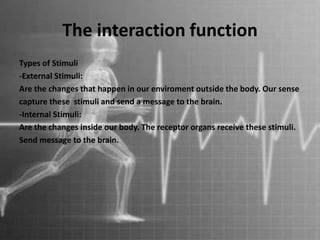 The interaction function
Types of Stimuli
-External Stimuli:
Are the changes that happen in our enviroment outside the body. Our sense
capture these stimuli and send a message to the brain.
-Internal Stimuli:
Are the changes inside our body. The receptor organs receive these stimuli.
Send message to the brain.
 