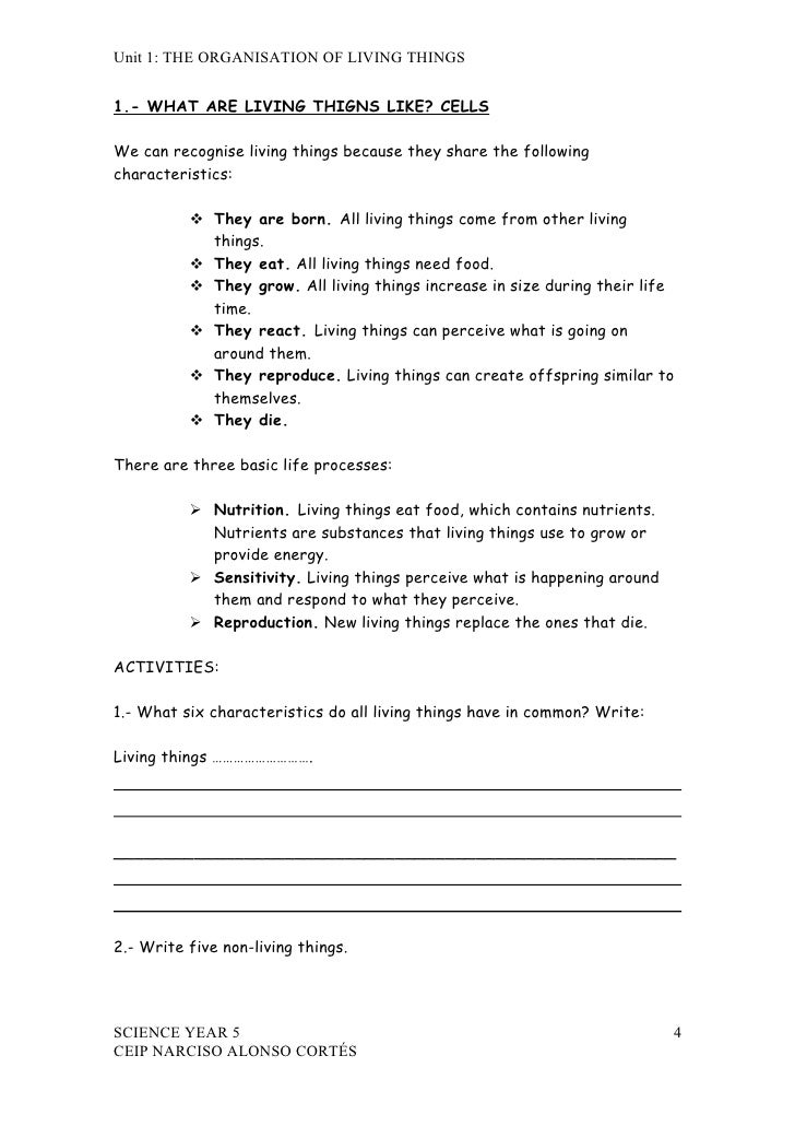 Characteristics Of Life Worksheet Answers