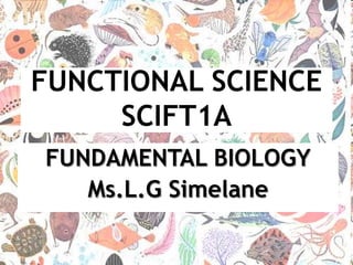 FUNDAMENTAL BIOLOGY
Ms.L.G Simelane
 