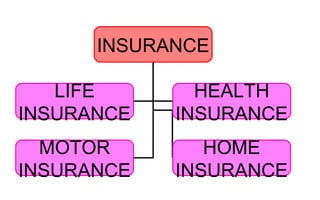 INSURANCE
LIFE
INSURANCE
HEALTH
INSURANCE
MOTOR
INSURANCE
HOME
INSURANCE
 