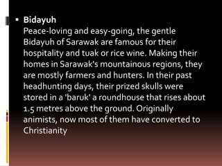  Bidayuh
Peace-loving and easy-going, the gentle
Bidayuh of Sarawak are famous for their
hospitality and tuak or rice wine. Making their
homes in Sarawak's mountainous regions, they
are mostly farmers and hunters. In their past
headhunting days, their prized skulls were
stored in a 'baruk' a roundhouse that rises about
1.5 metres above the ground. Originally
animists, now most of them have converted to
Christianity
 