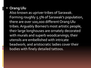  Orang Ulu
Also known as upriver tribes of Sarawak.
Forming roughly 5.5% of Sarawak's population,
there are over 100,000 different Orang Ulu
tribes. Arguably Borneo's most artistic people,
their large longhouses are ornately decorated
with murals and superb woodcarvings; their
utensils are embellished with intricate
beadwork; and aristocratic ladies cover their
bodies with finely detailed tattoos.
 