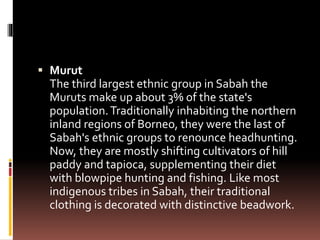  Murut
The third largest ethnic group in Sabah the
Muruts make up about 3% of the state's
population.Traditionally inhabiting the northern
inland regions of Borneo, they were the last of
Sabah's ethnic groups to renounce headhunting.
Now, they are mostly shifting cultivators of hill
paddy and tapioca, supplementing their diet
with blowpipe hunting and fishing. Like most
indigenous tribes in Sabah, their traditional
clothing is decorated with distinctive beadwork.
 