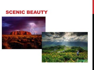 SCENIC BEAUTY

 