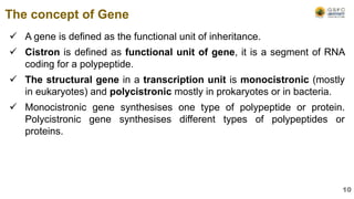 A gene is defined as the functional unit of inheritance.
 Cistron is defined as functional unit of gene, it is a segment of RNA
coding for a polypeptide.
 The structural gene in a transcription unit is monocistronic (mostly
in eukaryotes) and polycistronic mostly in prokaryotes or in bacteria.
 Monocistronic gene synthesises one type of polypeptide or protein.
Polycistronic gene synthesises different types of polypeptides or
proteins.
The concept of Gene
10
 