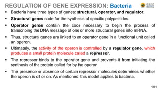 REGULATION OF GENE EXPRESSION: Bacteria
 Bacteria have three types of genes: structural, operator, and regulator.
 Structural genes code for the synthesis of specific polypeptides.
 Operator genes contain the code necessary to begin the process of
transcribing the DNA message of one or more structural genes into mRNA.
 Thus, structural genes are linked to an operator gene in a functional unit called
an operon.
 Ultimately, the activity of the operon is controlled by a regulator gene, which
produces a small protein molecule called a repressor.
 The repressor binds to the operator gene and prevents it from initiating the
synthesis of the protein called for by the operon.
 The presence or absence of certain repressor molecules determines whether
the operon is off or on. As mentioned, this model applies to bacteria.
101
 