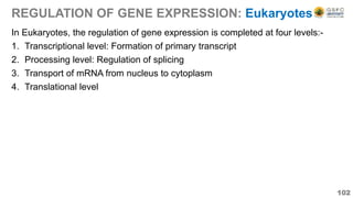 REGULATION OF GENE EXPRESSION: Eukaryotes
In Eukaryotes, the regulation of gene expression is completed at four levels:-
1. Transcriptional level: Formation of primary transcript
2. Processing level: Regulation of splicing
3. Transport of mRNA from nucleus to cytoplasm
4. Translational level
102
 