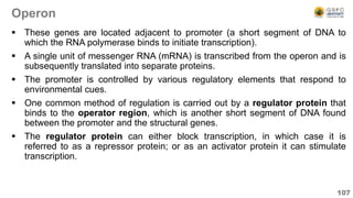 Operon
 These genes are located adjacent to promoter (a short segment of DNA to
which the RNA polymerase binds to initiate transcription).
 A single unit of messenger RNA (mRNA) is transcribed from the operon and is
subsequently translated into separate proteins.
 The promoter is controlled by various regulatory elements that respond to
environmental cues.
 One common method of regulation is carried out by a regulator protein that
binds to the operator region, which is another short segment of DNA found
between the promoter and the structural genes.
 The regulator protein can either block transcription, in which case it is
referred to as a repressor protein; or as an activator protein it can stimulate
transcription.
107
 