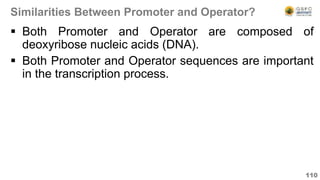 Similarities Between Promoter and Operator?
 Both Promoter and Operator are composed of
deoxyribose nucleic acids (DNA).
 Both Promoter and Operator sequences are important
in the transcription process.
110
 