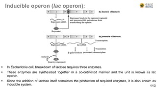 Inducible operon (lac operon):
 In Escherichia coli, breakdown of lactose requires three enzymes.
 These enzymes are synthesized together in a co-ordinated manner and the unit is known as lac
operon.
 Since the addition of lactose itself stimulates the production of required enzymes, it is also known as
inducible system. 112
 