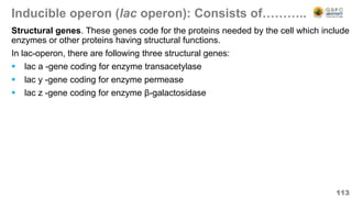 Inducible operon (lac operon): Consists of………..
113
Structural genes. These genes code for the proteins needed by the cell which include
enzymes or other proteins having structural functions.
In lac-operon, there are following three structural genes:
 lac a -gene coding for enzyme transacetylase
 lac y -gene coding for enzyme permease
 lac z -gene coding for enzyme β-galactosidase
 