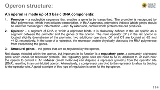 Operon structure:
An operon is made up of 3 basic DNA components:
1. Promoter – a nucleotide sequence that enables a gene to be transcribed. The promoter is recognized by
RNA polymerase, which then initiates transcription. In RNA synthesis, promoters indicate which genes should
be used for messenger RNA creation – and, by extension, control which proteins the cell produces.
2. Operator – a segment of DNA to which a repressor binds. It is classically defined in the lac operon as a
segment between the promoter and the genes of the operon. The main operator (O1) in the lac operon is
located slightly downstream of the promoter; two additional operators, O1 and O3 are located at -82 and
+412, respectively. In the case of a repressor, the repressor protein physically obstructs the RNA polymerase
from transcribing the genes.
3. Structural genes – the genes that are co-regulated by the operon.
Not always included within the operon, but important in its function is a regulatory gene, a constantly expressed
gene which codes for repressor proteins. The regulatory gene does not need to be in, adjacent to, or even near
the operon to control it. An inducer (small molecule) can displace a repressor (protein) from the operator site
(DNA), resulting in an uninhibited operon. Alternatively, a corepressor can bind to the repressor to allow its binding
to the operator site. A good example of this type of regulation is seen for the trp operon.
114
 
