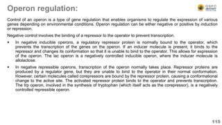 Operon regulation:
Control of an operon is a type of gene regulation that enables organisms to regulate the expression of various
genes depending on environmental conditions. Operon regulation can be either negative or positive by induction
or repression.
Negative control involves the binding of a repressor to the operator to prevent transcription.
 In negative inducible operons, a regulatory repressor protein is normally bound to the operator, which
prevents the transcription of the genes on the operon. If an inducer molecule is present, it binds to the
repressor and changes its conformation so that it is unable to bind to the operator. This allows for expression
of the operon. The lac operon is a negatively controlled inducible operon, where the inducer molecule is
allolactose.
 In negative repressible operons, transcription of the operon normally takes place. Repressor proteins are
produced by a regulator gene, but they are unable to bind to the operator in their normal conformation.
However, certain molecules called corepressors are bound by the repressor protein, causing a conformational
change to the active site. The activated repressor protein binds to the operator and prevents transcription.
The trp operon, involved in the synthesis of tryptophan (which itself acts as the corepressor), is a negatively
controlled repressible operon.
115
 