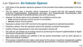 Lac Operon: An Inducer Operon
 CAP binds to the operator sequence upstream of the promoter that initiates transcription of the lac
operon.
 The lac operon uses a two-part control mechanism to ensure that the cell expends energy
producing β-galactosidase, β-galactoside permease, and thiogalactoside transacetylase (also
known as galactoside O-acetyltransferase) only when necessary.
 However, for the lac operon to be activated, two conditions must be met.
 First, the level of glucose must be very low or non-existent.
 Second, lactose must be present.
• If glucose is absent, then CAP can bind to the operator sequence to activate transcription.
• If lactose is absent, then the repressor binds to the operator to prevent transcription.
• If either of these requirements is met, then transcription remains off.
• The cell can use lactose as an energy source by producing the enzyme b-galactosidase to digest
that lactose into glucose and galactose.
• Only when both conditions are satisfied is the lac operon transcribed, such as when glucose is
absent and lactose is present.
• This process is beneficial and makes most sense for the cell as it would be energetically wasteful
to create the proteins to process lactose if glucose were plentiful or if lactose were not available.
118
 