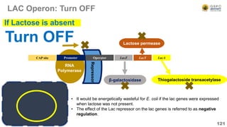 LAC Operon: Turn OFF
121
LacZ LacY LacA
CAP site
RNA
Polymerase
Promoter
β-galactosidase
Lactose permease
Thiogalactoside transacetylase
Turn OFF
If Lactose is absent
Repressor
Operator
• It would be energetically wasteful for E. coli if the lac genes were expressed
when lactose was not present.
• The effect of the Lac repressor on the lac genes is referred to as negative
regulation.
 