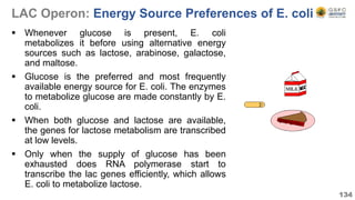 LAC Operon: Energy Source Preferences of E. coli
 Whenever glucose is present, E. coli
metabolizes it before using alternative energy
sources such as lactose, arabinose, galactose,
and maltose.
 Glucose is the preferred and most frequently
available energy source for E. coli. The enzymes
to metabolize glucose are made constantly by E.
coli.
 When both glucose and lactose are available,
the genes for lactose metabolism are transcribed
at low levels.
 Only when the supply of glucose has been
exhausted does RNA polymerase start to
transcribe the lac genes efficiently, which allows
E. coli to metabolize lactose.
134
 