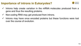  Introns help create variation in the mRNA molecules produced from a
gene and thus the resulting proteins.
 Non-coding RNA may get produced from introns.
 Introns may have once encoded proteins but these functions were lost
over the course of evolution.
Importance of introns in Eukaryotes?
14
 