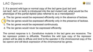 LAC Operon
2. If a second wild type or normal copy of the lacI gene (just lacI and
not lacZ, lacY, or lacA) is introduced into the lacI mutant cell, what would be the
phenotype of this partial diploid (also referred to as a merodiploid)?
a. The lac genes would be expressed efficiently only in the absence of lactose.
b. The lac genes would be expressed efficiently only in the presence of lactose.
c. The lac genes would be expressed continuously.
d. The lac genes would never be expressed efficiently.
140
The correct response is b. Constitutive mutants in the lacI gene are recessive. The
lac repressor protein is diffusible. Therefore the wild type copy of the repressor
protein will be able to diffuse and bind to the operator in the chromosomal copy of the
lac operon and will block expression of the chromosomal lac genes.
 