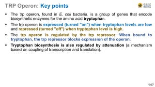 TRP Operon: Key points
 The trp operon, found in E. coli bacteria, is a group of genes that encode
biosynthetic enzymes for the amino acid tryptophan.
 The trp operon is expressed (turned "on") when tryptophan levels are low
and repressed (turned "off") when tryptophan level is high.
 The trp operon is regulated by the trp repressor. When bound to
tryptophan, the trp repressor blocks expression of the operon.
 Tryptophan biosynthesis is also regulated by attenuation (a mechanism
based on coupling of transcription and translation).
147
 