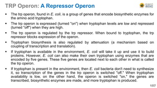TRP Operon: A Repressor Operon
 The trp operon, found in E. coli, is a group of genes that encode biosynthetic enzymes for
the amino acid tryptophan.
 The trp operon is expressed (turned "on") when tryptophan levels are low and repressed
(turned "off") when they are high.
 The trp operon is regulated by the trp repressor. When bound to tryptophan, the trp
repressor blocks expression of the operon.
 Tryptophan biosynthesis is also regulated by attenuation (a mechanism based on
coupling of transcription and translation).
 If tryptophan is available in the environment, E. coli will take it up and use it to build
proteins. However, E. coli can also make their own tryptophan using enzymes that are
encoded by five genes. These five genes are located next to each other in what is called
the trp operon.
 If tryptophan is present in the environment, then E. coli bacteria don't need to synthesize
it, so transcription of the genes in the trp operon is switched "off." When tryptophan
availability is low, on the other hand, the operon is switched "on," the genes are
transcribed, biosynthetic enzymes are made, and more tryptophan is produced.
157
 