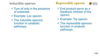 Inducible operon
 Turn of only in the presence
of substrate.
 Example: Lac operon.
 The inducible operons
function in catabolic
pathways.
160
 End product serve as a
feedback inhibitor of the
operon.
 Example: Trp operon.
 The repressible operons
function in anabolic
pathways.
Repressible operon
 