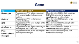 Gene
Type Polycistronic mRNA Monocistronic mRNA
Messenger Polycistronic mRNA is that messenger
RNA which encodes for two or more
proteins.
Monocistronic mRNA is that messenger
RNA which encodes for only one or
specific protein or polypeptide.
Codons Polycistronic mRNA contains many
codons of cistrons.
Monocistronic mRNA contains single
codon of cistron.
ORF Polycistronic mRNA have multiple ORFs
(open reading frames).
Monocistronic mRNA have single ORF
(open reading frame).
Available in Polycistronic mRNA is present mostly in
prokaryotes like bacteria etc.
Monocistronic mRNA is present in
eukaryotes like human, plants
Post-
transcriptional
changes
Polycistronic mRNA do not require post-
transcriptional changes.
Monocistronic mRNA requires post-
transcriptional changes.
18
 