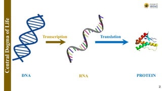 DNA
Transcription
RNA
Translation
PROTEIN
Central
Dogma
of
Life
2
 