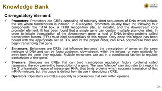 Cis-regulatory element:
 Promoters: Promoters are CREs consisting of relatively short sequences of DNA which include
the site where transcription is initiated. In eukaryotes, promoters usually have the following four
components: the TATA box, a TFIIB recognition site, an initiator, and the downstream core
promoter element. It has been found that a single gene can contain multiple promoter sites. In
order to initiate transcription of the downstream gene, a host of DNA-binding proteins called
transcription factors (TFs) must bind sequentially to this region. Only once this region has been
bound with the appropriate set of TFs, and in the proper order, can RNA polymerase bind and
begin transcribing the gene.
 Enhancers: Enhancers are CREs that influence (enhance) the transcription of genes on the same
molecule of DNA and can be found upstream, downstream, within the introns, or even relatively far
away from the gene they regulate. Multiple enhancers can act in a coordinated fashion to regulate
transcription of one gene.
 Silencers: Silencers are CREs that can bind transcription regulation factors (proteins) called
repressors, thereby preventing transcription of a gene. The term "silencer" can also refer to a region in
the 3' untranslated region of messenger RNA, that binds proteins which suppress translation of that
mRNA molecule, but this usage is distinct from its use in describing a CRE.
 Operators: Operators are CREs especially in prokaryotes that exist within operons.
Knowledge Bank
24
 
