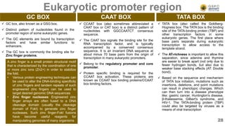  GC box, also known as a GSG box.
 Distinct pattern of nucleotides found in the
promoter region of some eukaryotic genes.
 The GC elements are bound by transcription
factors and have similar functions to
enhancers.
 The GC box is commonly the binding site for
Zinc finger proteins.
 CCAAT box (also sometimes abbreviated a
CAAT box or CAT box) is a distinct pattern of
nucleotides with GGCCAATCT consensus
sequence.
 The CAAT box signals the binding site for the
RNA transcription factor, and is typically
accompanied by a conserved consensus
sequence. It is an invariant DNA sequence at
about minus 70 base pairs from the origin of
transcription in many eukaryotic promoters.
 Belong to the regulatory promoter and core
promoter.
 Protein specific binding is required for the
CCAAT box activation. These proteins are
known as CCAAT box binding proteins/CCAAT
box binding factors.
Eukaryotic promoter region
GC BOX CAAT BOX TATA BOX
 TATA box (also called the Goldberg-
Hogness box: The TATA box is the binding
site of the TATA-binding protein (TBP) and
other transcription factors in some
eukaryotic genes. The first place where
base pairs separate during eukaryotic
transcription to allow access to the
template strand.
 The AT-richness is important to allow this
separation, since adenine and thymine
are easier to break apart (not only due to
fewer hydrogen bonds, but also due to
weaker base stacking effects (AT: Double
bond).
 Based on the sequence and mechanism
of TATA box initiation, mutations such as
insertions, deletions, and point mutations
can result in phenotypic changes. Which
can then turn into a disease phenotype
like: gastric cancer, Huntington's disease,
β-thalassemia, Gilbert's syndrome, and
HIV-1. The TATA-binding protein (TBP)
could also be targeted by viruses as a
means of viral transcription
A zinc finger is a small protein structural motif
that is characterized by the coordination of one
or more zinc ions (Zn2+) in order to stabilize
the fold.
• Various protein engineering techniques can
be used to alter the DNA-binding specificity
of zinc fingers and tandem repeats of such
engineered zinc fingers can be used to
target desired genomic DNA sequences
• Zinc finger nucleases: Engineered zinc
finger arrays are often fused to a DNA
cleavage domain (usually the cleavage
domain of FokI) to generate zinc finger
nucleases. Such zinc finger-FokI fusions
have become useful reagents for
manipulating genomes of many organisms 28
 