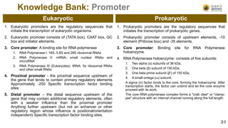 Knowledge Bank: Promoter
1. Eukaryotic promoters are the regulatory sequences that
initiate the transcription of eukaryotic organisms.
2. Eukaryotic promoter consists of (TATA box), CAAT box, GC
box and initiator elements.
3. Core promoter: A binding site for RNA polymerase
1. RNA Polymerase I: 18S, 5.8S and 28S ribosomal RNAs
2. RNA Polymerase II: mRNA; small nuclear RNAs and
microRNA
3. RNA Polymerase III (Eukaryotes): tRNA; 5s ribosomal RNAs
and other small RNAs
4. Proximal promoter - the proximal sequence upstream of
the gene that tends to contain primary regulatory elements
Approximately -250 Specific transcription factor binding
sites
5. Distal promoter – the distal sequence upstream of the
gene that may contain additional regulatory elements, often
with a weaker influence than the proximal promoter
Anything further upstream (but not an enhancer or other
regulatory region whose influence is positional/orientation
independent) Specific transcription factor binding sites.
1. Prokaryotic promoters are the regulatory sequences that
initiates the transcription of prokaryotic genes.
2. Prokaryotic promoter consists of upstream elements, -10
element (Pribnow box) and -35 elements.
3. Core promoter: Binding site for RNA Polymerase
holoenzyme.
4. RNA Polymerase holoenzyme: consists of five subunits:
1. Two alpha (α) subunits of 36 kDa,
2. One beta (β) subunit of 150 kDa,
3. One beta prime subunit (β′) of 155 kDa,
4. A small omega (ω) subunit.
A sigma (σ) factor binds to the core, forming the holoenzyme. After
transcription starts, the factor can unbind and let the core enzyme
proceed with its work.
The core RNA polymerase complex forms a "crab claw" or "clamp-
jaw" structure with an internal channel running along the full length.
Eukaryotic Prokaryotic
31
 