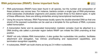  RNA polymerases (RNAP) have been found in all species, but the number and composition of
these proteins vary across taxa. For instance, bacteria contain a single type of RNA polymerase,
while eukaryotes (multicellular organisms and yeasts) contain three to five distinct types. In spite
of these differences, there are striking similarities among transcriptional mechanisms.
 Using the enzyme helicase, RNA Polymerase locally opens the double-stranded DNA so that one
strand of the exposed nucleotides can be used as a template for the synthesis of RNA, a process
called transcription.
 A transcription factor and its associated transcription mediator complex must be attached to a
DNA binding site called a promoter region before RNAP can initiate the DNA unwinding at that
position.
 RNAP not only initiates RNA transcription, it also guides the nucleotides into position, facilitates
attachment and elongation, has intrinsic proofreading and replacement capabilities, and
termination recognition capability.
 In eukaryotes, RNAP can build chains as long as 2.4 million nucleotides.
RNA polymerase (RNAP): Some important facts
33
 