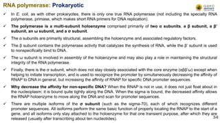  In E. coli, as with other prokaryotes, there is only one true RNA polymerase (not including the specialty RNA
polymerase, primase, which makes short RNA primers for DNA replication).
 The polymerase is a multi-subunit holoenzyme comprised primarily of two α subunits, a β subunit, a β’
subunit, an ω subunit, and a σ subunit.
 The α subunits are primarily structural, assembling the holoenzyme and associated regulatory factors.
 The β subunit contains the polymerase activity that catalyzes the synthesis of RNA, while the β’ subunit is used
to nonspecifically bind to DNA.
 The ω subunit is involved in assembly of the holoenzyme and may also play a role in maintaining the structural
integrity of the RNA polymerase.
 Finally, there is the σ subunit, which does not stay closely associated with the core enzyme (αββ’ω) except when
helping to initiate transcription, and is used to recognize the promoter by simultaneously decreasing the affinity of
RNAP to DNA in general, but increasing the affinity of RNAP for specific DNA promoter sequences.
 Why decrease the affinity for non-specific DNA? When the RNAP is not in use, it does not just float about in
the nucleoplasm: it is bound quite tightly along the DNA. When the sigma is bound, the decreased affinity allows
the RNAP holoenzyme to move along the DNA and scan for promoter sequences.
 There are multiple isoforms of the σ subunit (such as the sigma-70), each of which recognizes different
promoter sequences. All isoforms perform the same basic function of properly locating the RNAP to the start of a
gene, and all isoforms only stay attached to the holoenzyme for that one transient purpose, after which they are
released (usually after transcribing about ten nucleotides).
RNA polymerase: Prokaryotic
34
 